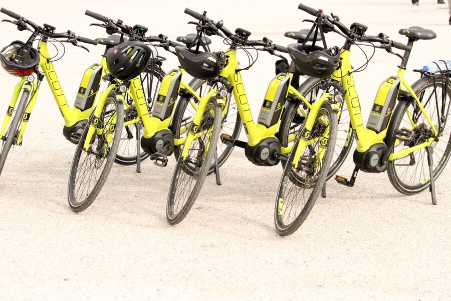 From Lisbon: Sintra to Cascais Full-Day Guided E-Bike Tour - Guides, group size, and the human side