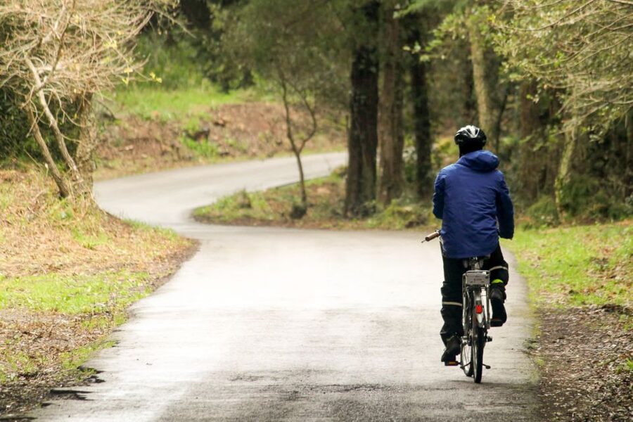 From Lisbon: Sintra to Cascais Full-Day Guided E-Bike Tour - Monserrate, Colares, and village life