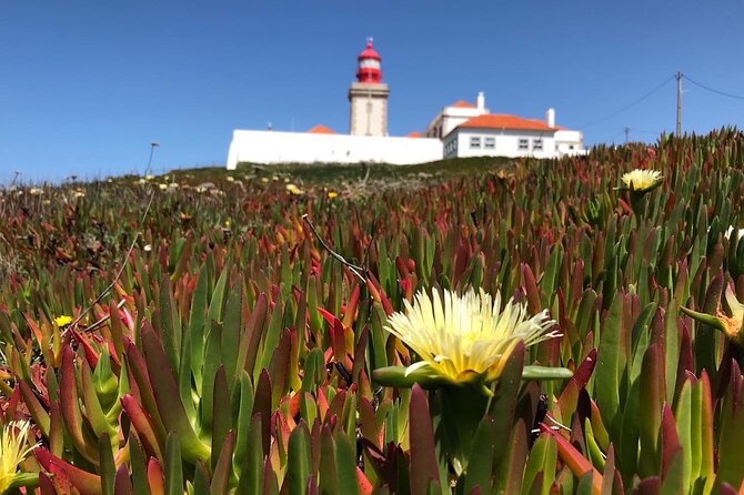 Full Day Tour: Sintra, Pena Palace, Cabo da Roca, Cascais - Should You Book This Sintra Day Trip?