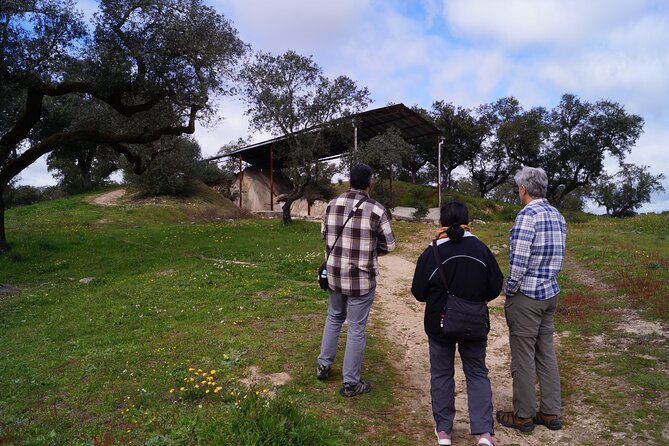 Half Day Megaliths Cromlech Tour from Evora by Archaeologists - The third monument, Dolmen of Zambujeiro