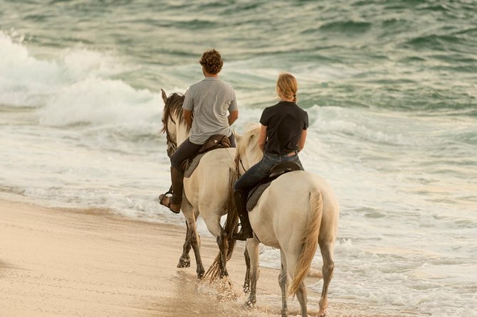 Horse Riding on the Beach - A horse-first approach helps beginners