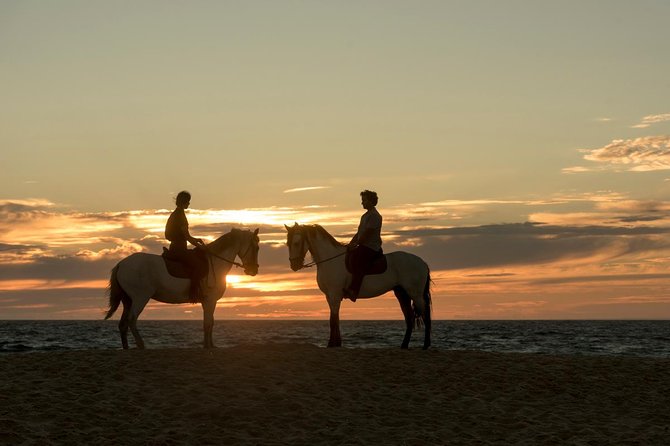 Horse Riding on the Beach - The lagoon adds a quieter nature stop