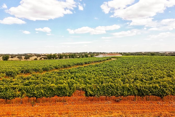 Jeep Cork Tour Experience Pack - Wine tasting at the family estate