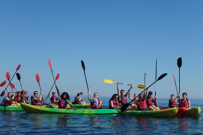 Kayak Tour of Lisbon - Is $46.44 a fair price?