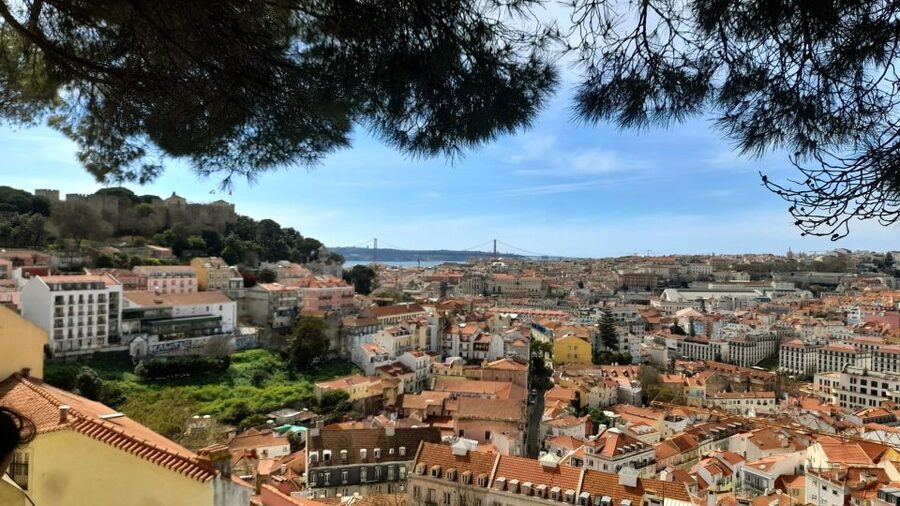 Lisbon: 3-Hour Sightseeing Tour by Tuk-Tuk - Practical details before you reserve