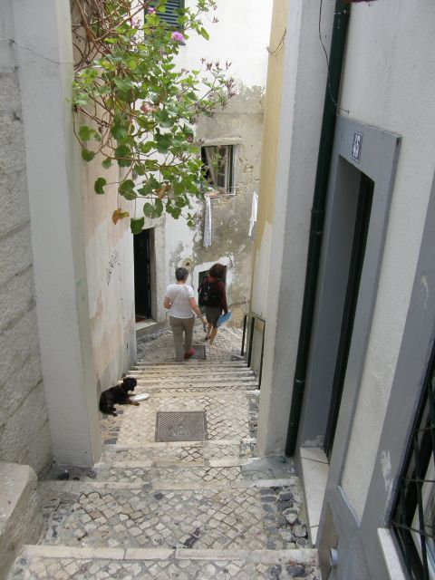 Lisbon: Alfama and São Jorge Castle Quarters Walking Tour - Key points to know before booking