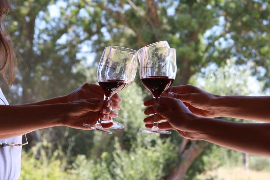 Lisbon: Arrábida and Sesimbra Day Trip with Wine - Why this is a good escape from central Lisbon