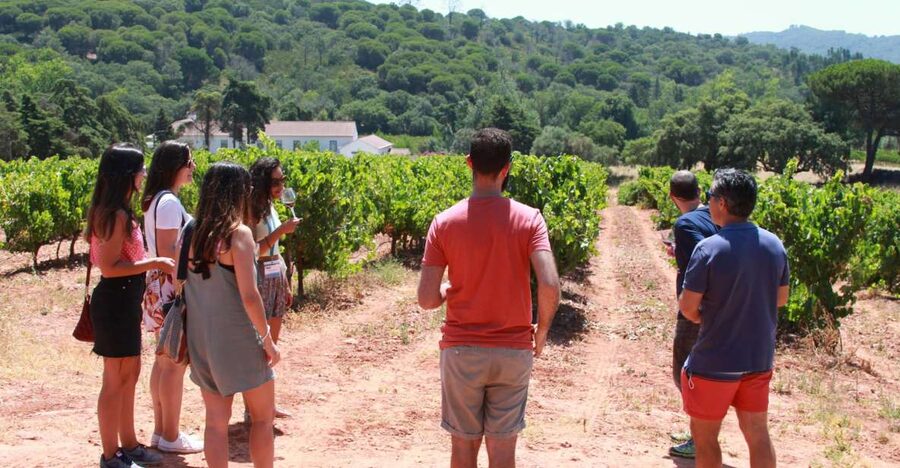 Lisbon: Arrábida and Sesimbra Day Trip with Wine - Crossing the Tagus by the Vasco da Gama Bridge