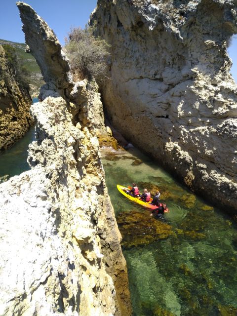 Lisbon: Arrábida Kayak and Coasteering Adventure Tour - Local drinks and a relaxed finish