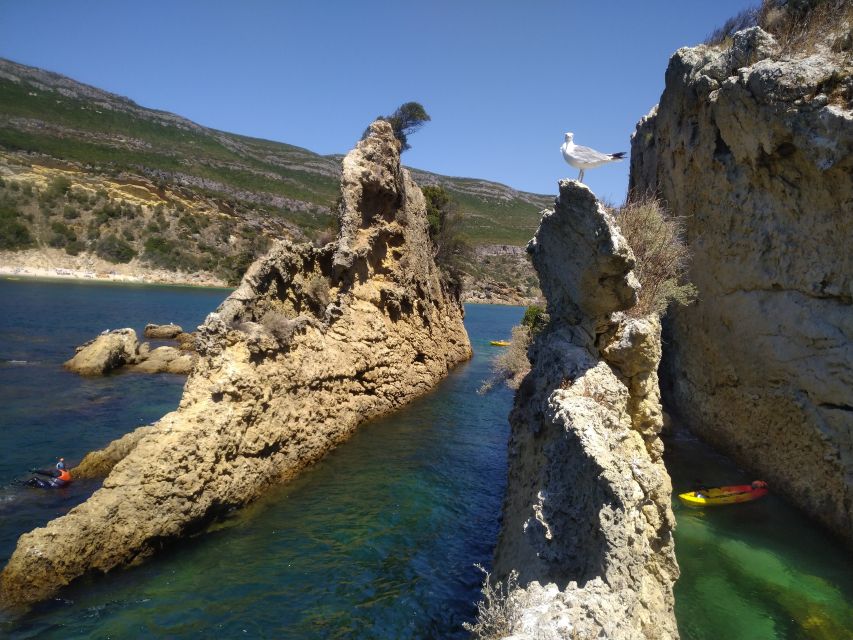 Lisbon: Arrábida Kayak and Coasteering Adventure Tour - Ancient sea caves add the real sense of discovery