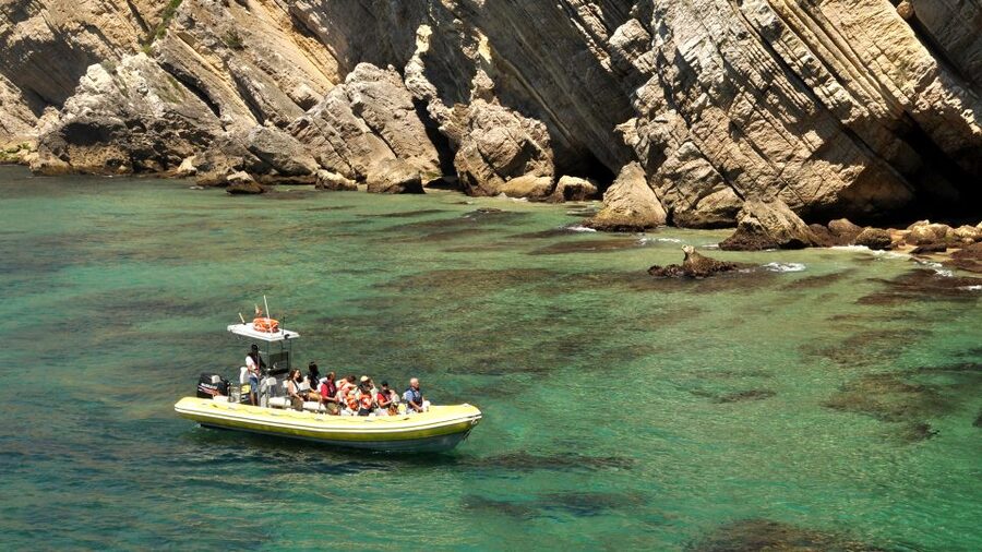 Lisbon: Arrábida Natural Park Dolphin Watching Boat Tour - The pastry and regional drink are small but welcome