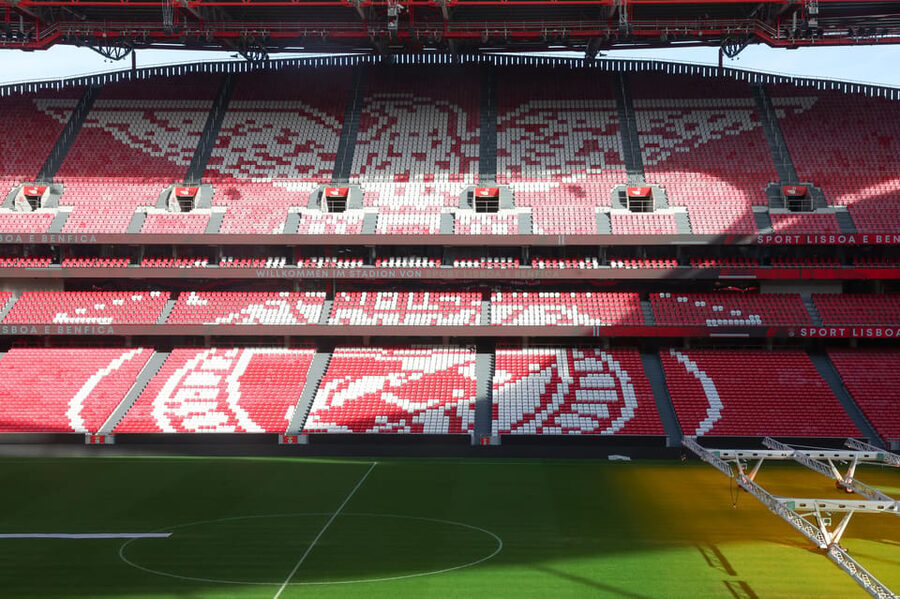 Lisbon: Benfica Luz Stadium Tour with Souvenir Scarf - The Eagle Hall and Benfica’s living symbol
