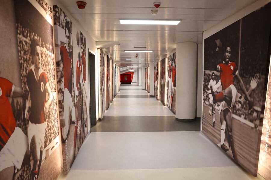 Lisbon: Benfica Luz Stadium Tour with Souvenir Scarf - The visitors’ locker room and press room