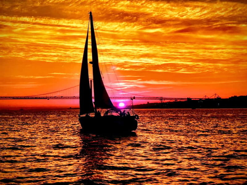 Lisbon: Daytime or Sunset Boat Cruise with History and Wine - Should you book it?