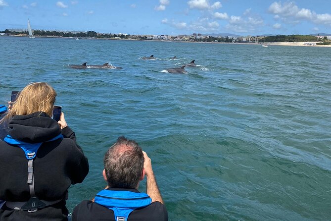 Lisbon: Dolphin Watching with Marine Biologist – Small Group - Setting out from Doca de Santo Amaro