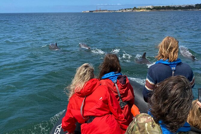 Lisbon: Dolphin Watching with Marine Biologist – Small Group - What $78.61 buys you