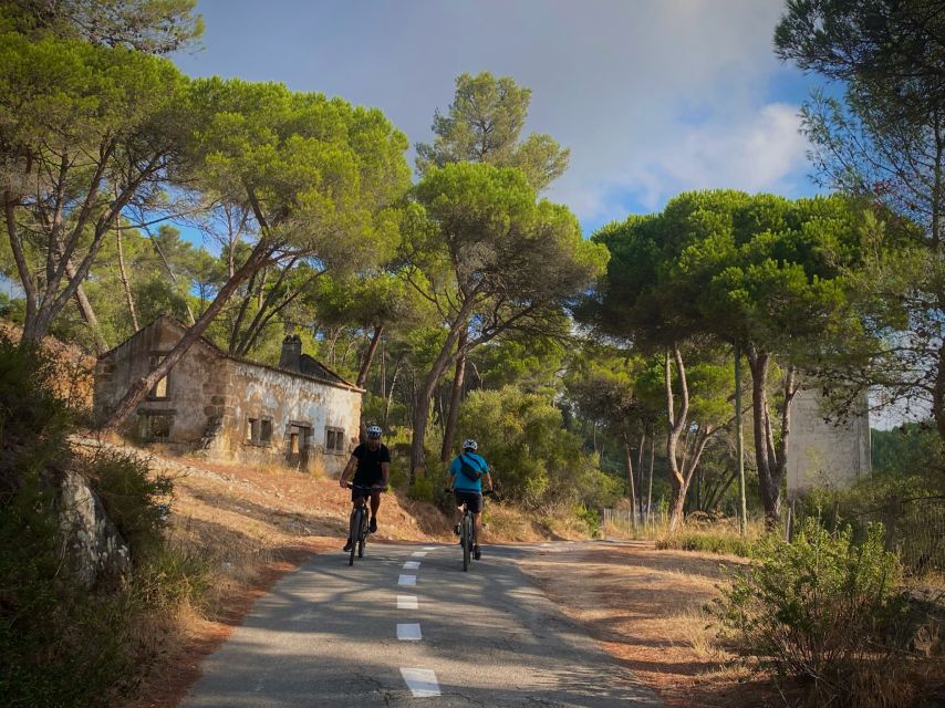 Lisbon: E-bike Trip from the Sintra Mountains to Cascais Sea - Key points to know before you book