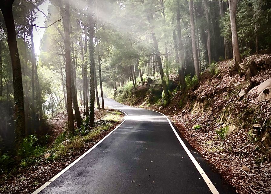 Lisbon: E-bike Trip from the Sintra Mountains to Cascais Sea - The bikes, pace, and physical demands