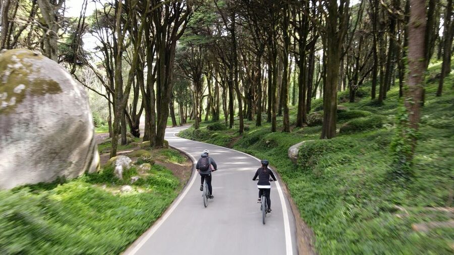 Lisbon: E-bike Trip from the Sintra Mountains to Cascais Sea - From Lisbon pickup to Cascais Market