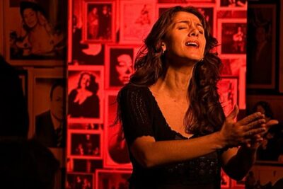 Lisbon Fado Experience: Walking Tour, Dinner and Live Music Show