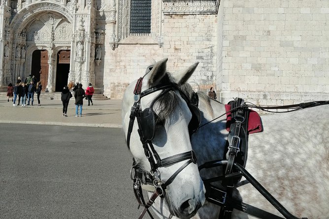 Lisbon Layover - Guides Alex and Elisabete shape the experience
