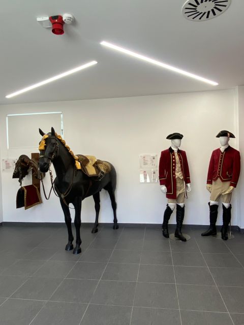 Lisbon: Morning of Equestrian Art with Lusitano Horses - What may disappoint you