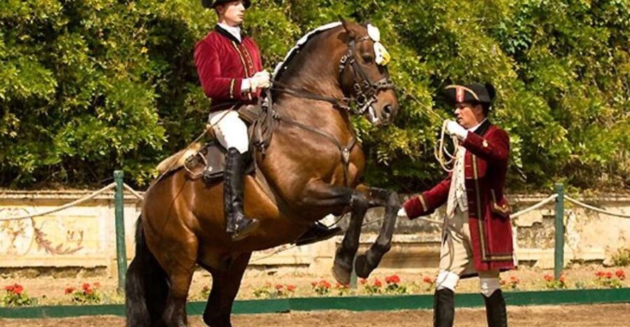 Lisbon: Morning of Equestrian Art with Lusitano Horses - Why Lusitano horses make this morning special