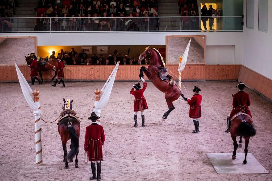 Lisbon: Morning of Equestrian Art with Lusitano Horses - Watching the warm-up and resourcefulness exercises