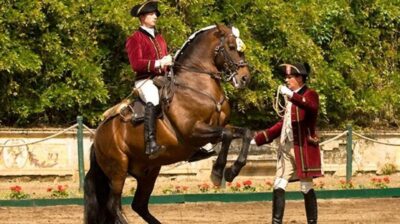 Lisbon: Morning of Equestrian Art with Lusitano Horses