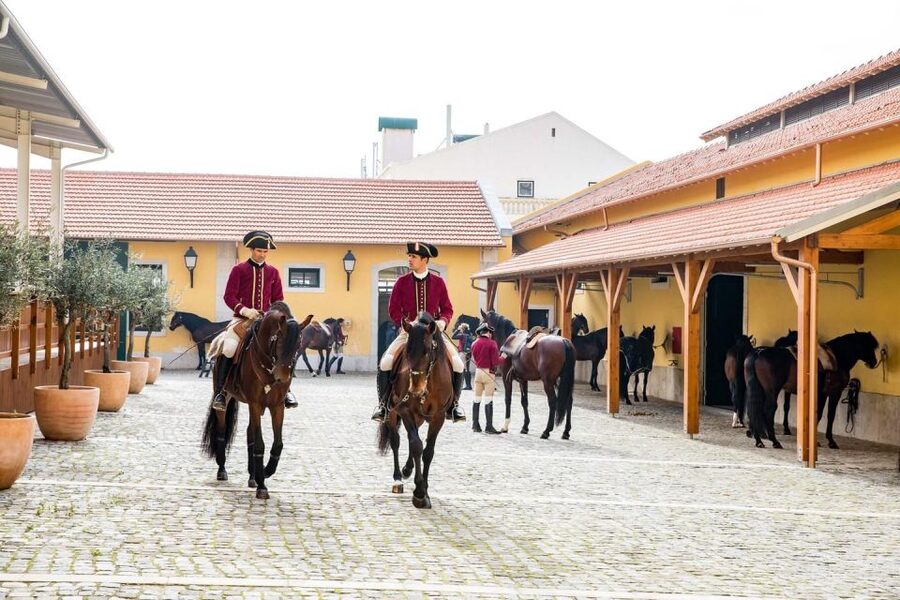 Lisbon: Morning of Equestrian Art with Lusitano Horses - Timing: why 11:00 a.m. matters