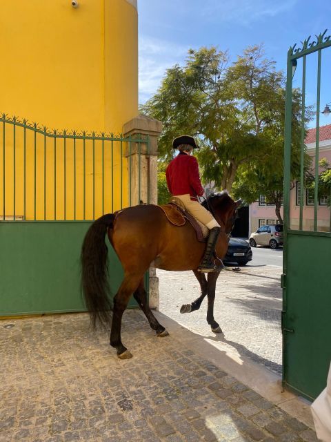 Lisbon: Morning of Equestrian Art with Lusitano Horses - Is the $17 price good value?