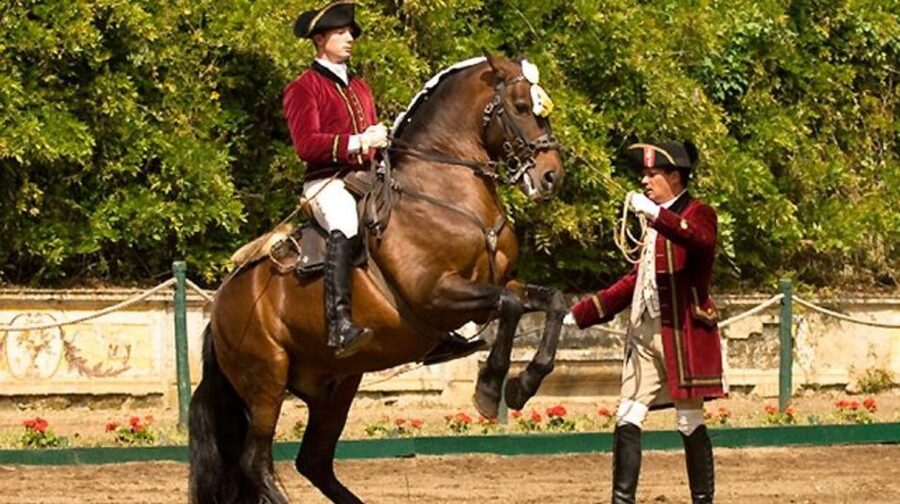 Lisbon: Morning of Equestrian Art with Lusitano Horses - Starting in the Nora Patio