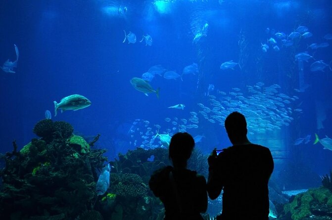 Lisbon Oceanario: Aquarium Entrance Ticket - Four ocean habitats, two levels, and an easy route