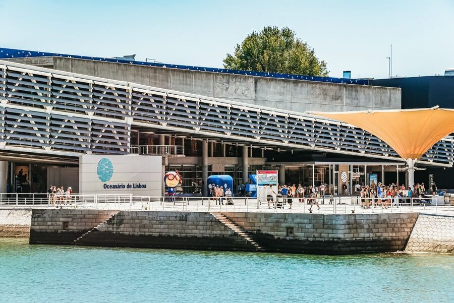 Lisbon: Oceanário de Lisboa Entrance Ticket - Who will enjoy this most?
