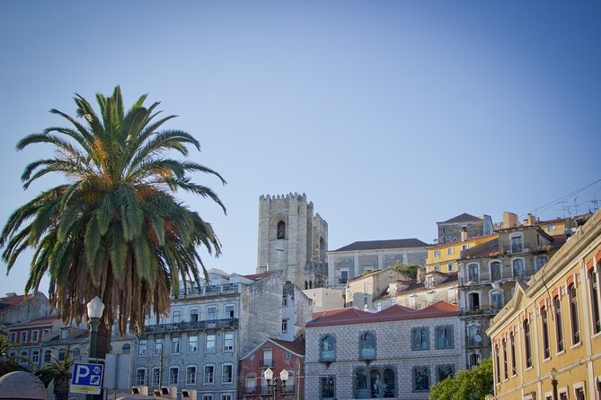 Lisbon Private 5-Hour Eco Tuk-Tuk Tour with Local Tastings - Praça do Comércio and the story of Lisbon’s rebirth