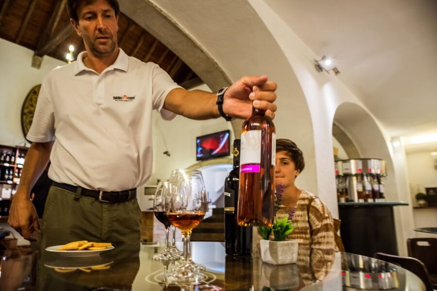 Lisbon Private Setúbal Region Wine Tasting Tour - The highlights at a glance