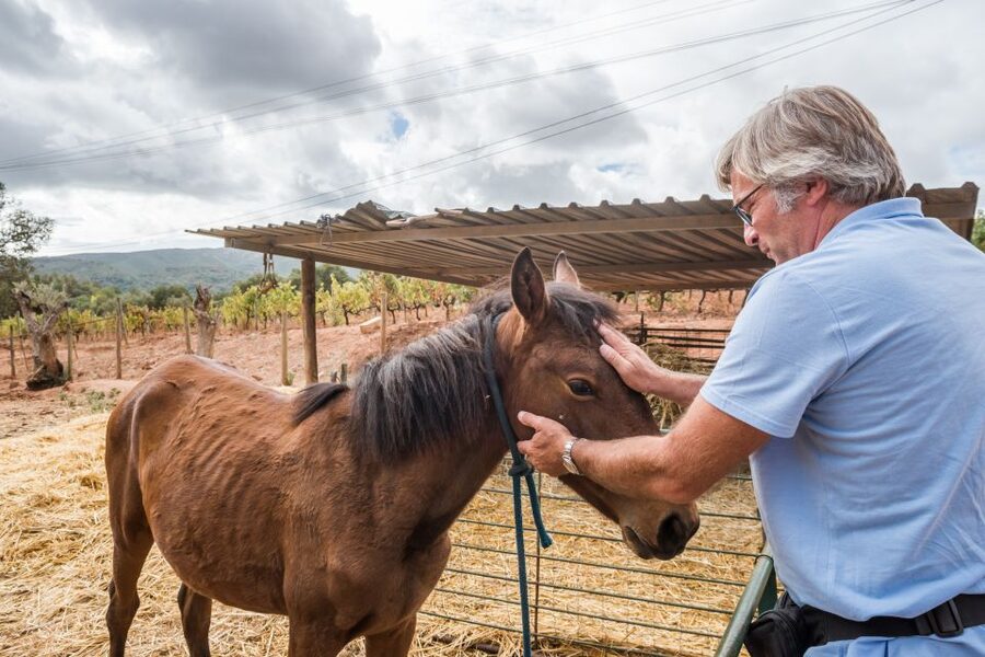 Lisbon Private Setúbal Region Wine Tasting Tour - Is $294 good value for two people?