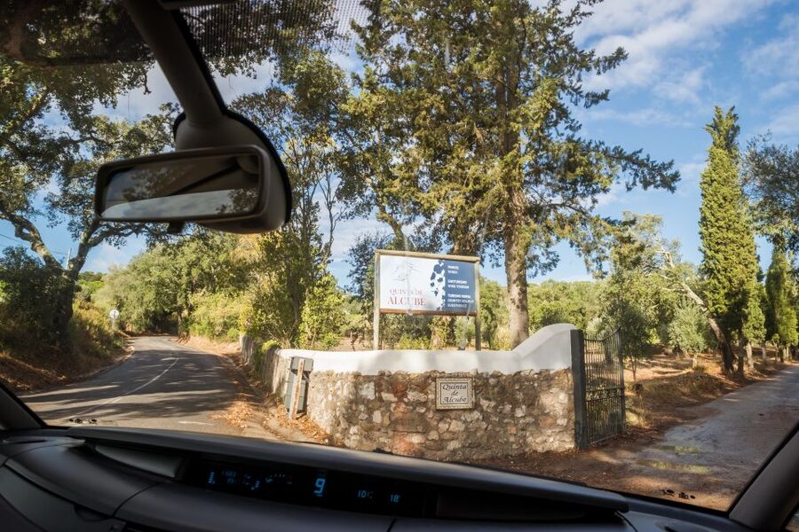 Lisbon Private Setúbal Region Wine Tasting Tour - Quinta do Alcube and the agricultural side of wine