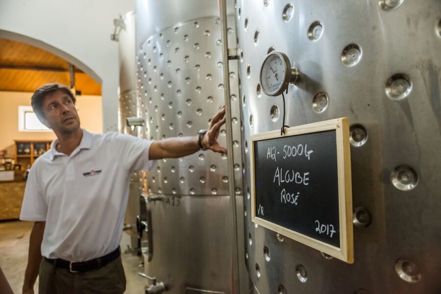 Lisbon Private Setúbal Region Wine Tasting Tour - The Setúbal Mother House and 24 local producers