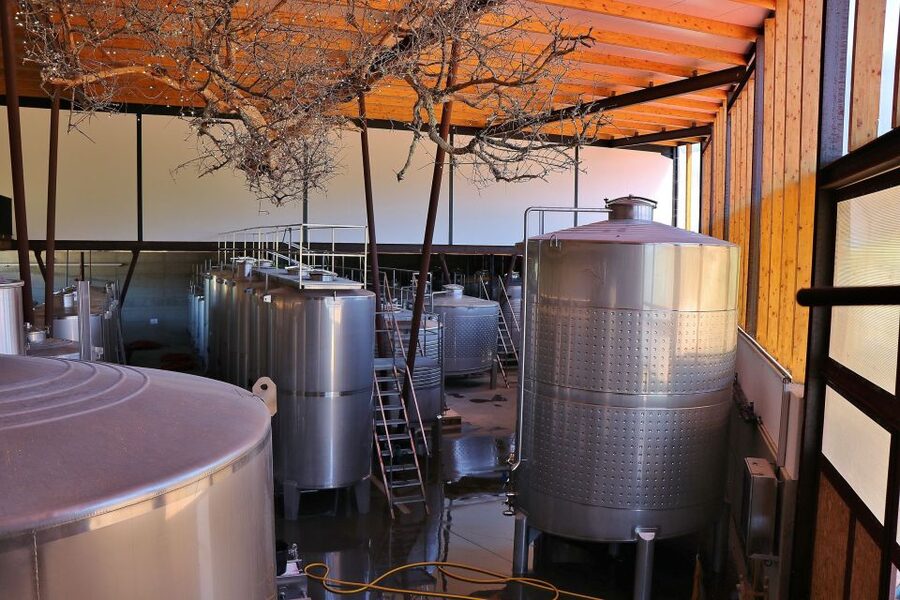 Lisbon Private Setúbal Region Wine Tasting Tour - Choosing between snacks and a Palmela lunch
