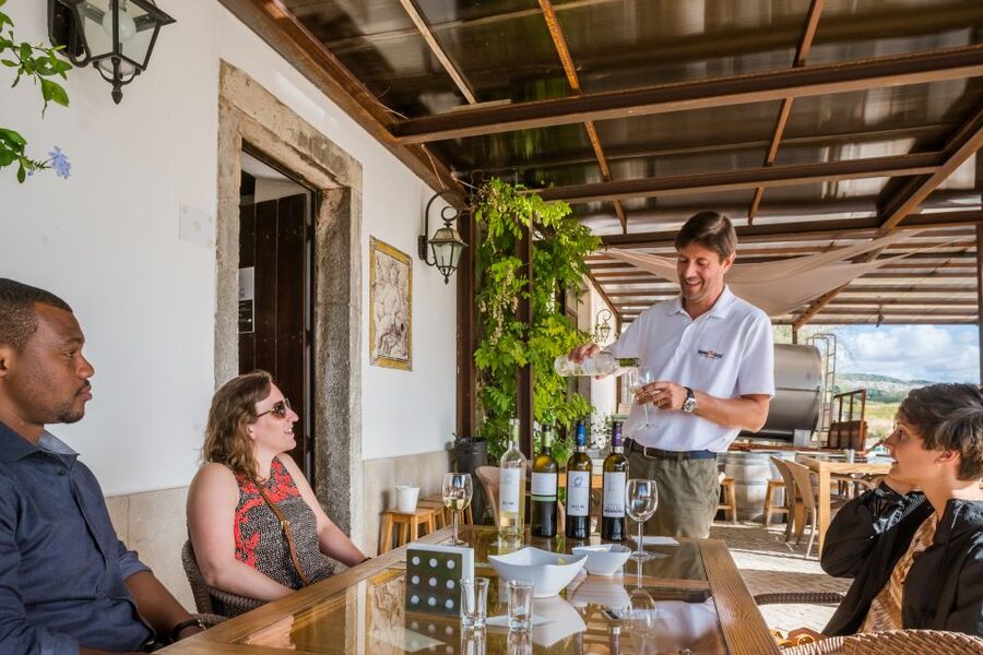Lisbon Private Setúbal Region Wine Tasting Tour - José Maria da Fonseca and the story of a long family cellar