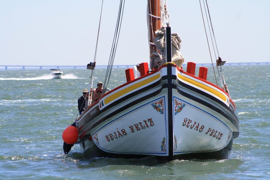 Lisbon: River Tagus Sightseeing Cruise in Traditional Vessel - What the live commentary adds