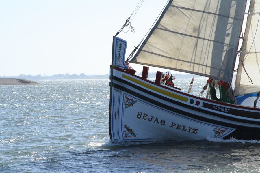 Lisbon: River Tagus Sightseeing Cruise in Traditional Vessel - Wind, seating, and comfort on the Tagus
