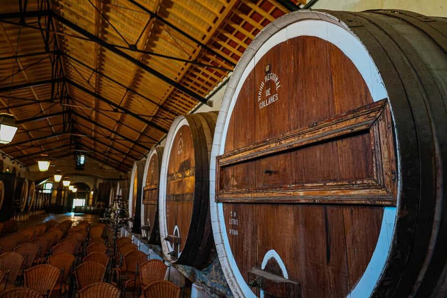 Lisbon: Sintra, Coast and Wine Small-Group Day Tour - The guides make the schedule work