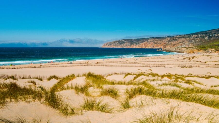 Lisbon: Sintra, Pena, Cabo da Roca Coast & Cascais Day Tour - Transport, timing, and group size