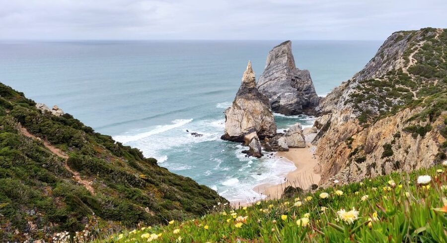 Lisbon: Sintra, Pena Palace, Quinta Regaleira, Cascais Tour - The Morning Run to Sintra