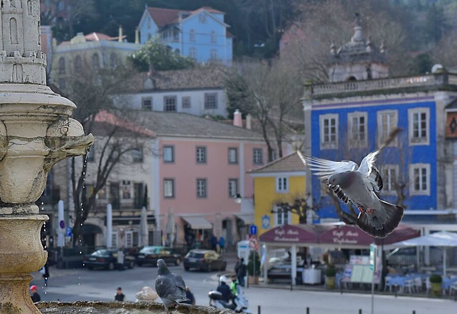 Lisbon: Sintra, Pena Palace, Quinta Regaleira, Cascais Tour - One Hour in Sintra Old Town