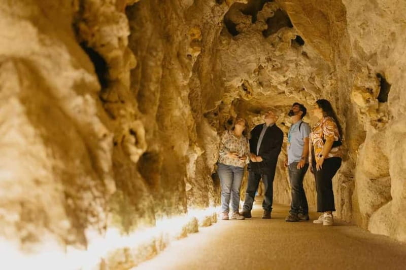 Lisbon: Sintra Tour with Optional Regaleira & Pena Gardens - Pena Palace Gardens and the fairy-tale setting