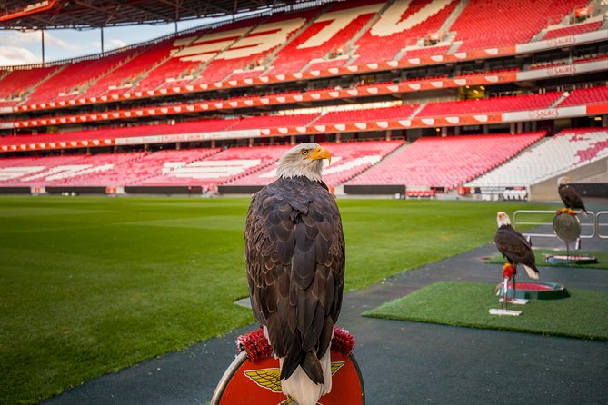 Lisbon SL Benfica Stadium & Museum Tour with Scarf - Who should book the Benfica experience