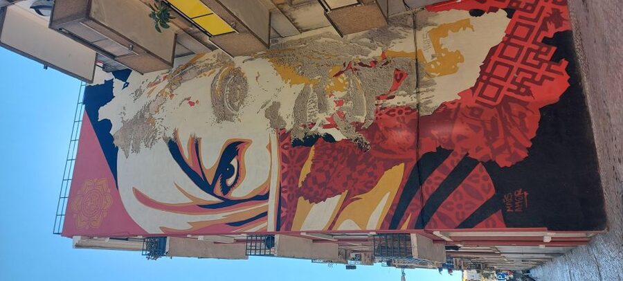Lisbon Street Art Lovers Walk - Mouraria: small pieces, big questions
